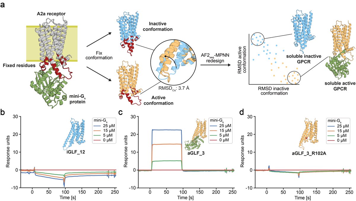 THEY SAID WE COULDN'T DO IT........well, no one actually said that. But in our updated manuscript with @CasperGoverde, @GoldbachNico, and @befcorreia we show you can now design soluble analogues of membrane proteins with preserved functional features! biorxiv.org/content/10.110…