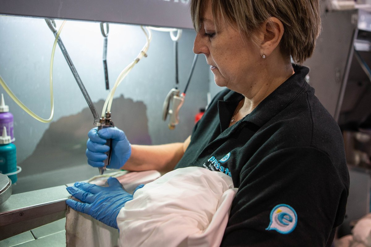 PresstoEs's tweet photo. Más del 92% de los empleados de Tintorerías Pressto en España son mujeres.
Gracias a todas ellas por su dedicación, profesionalidad y trabajo diario.
¡Feliz Día de la Mujer!
#DiaInternacionalDeLaMujer #pressto https://t.co/TbeRvALojG