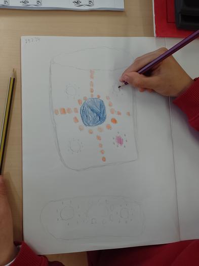 maybury_class4's tweet photo. This afternoon, we have been designing pots.
We will make them with clay next week and have been inspired by Millefiori glass 🎨 https://t.co/0ljxq20QBj