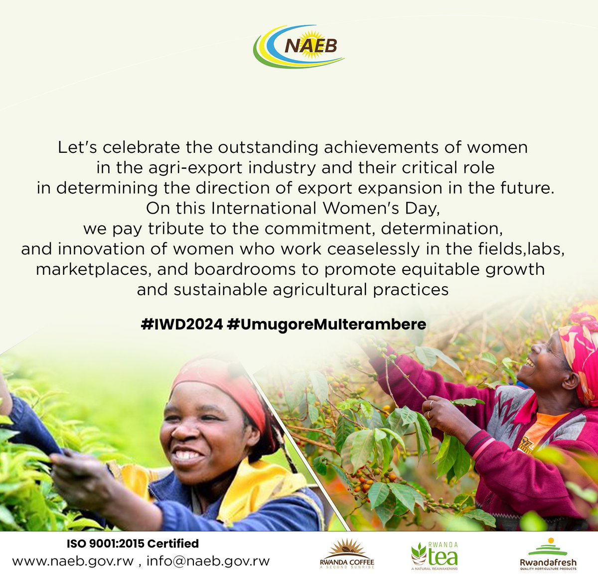 To all the remarkable #Women in #Rwanda 's Agricultural export sector, we extend our warm wishes for a Happy International Women's Day! #IWD2024 #UmugoreMuIterambere #RwOT