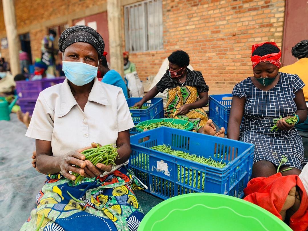 AgriterraRwanda's tweet photo. Happy #InternationalWomensDay2024.

We value the great contribution of women as the backbone of agriculture in Rwanda. 

Keep contributing to agricultural transformation and achieving food security within cooperatives. https://t.co/2vrg9lqSrV