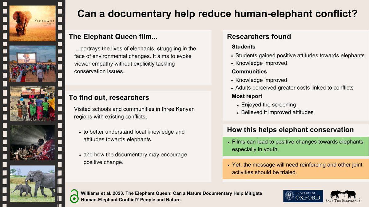 ste_kenya's tweet photo. Interested in learning more about our latest study on how wildlife documentaries, like The Elephant Queen, can change attitudes towards elephants? Click on the links below 👇

🔗 News article - https://t.co/nAkEgJYET9
🔗 Scientific publication - https://t.co/7lxe1y5Ic1 https://t.co/aSLM1VTTFB