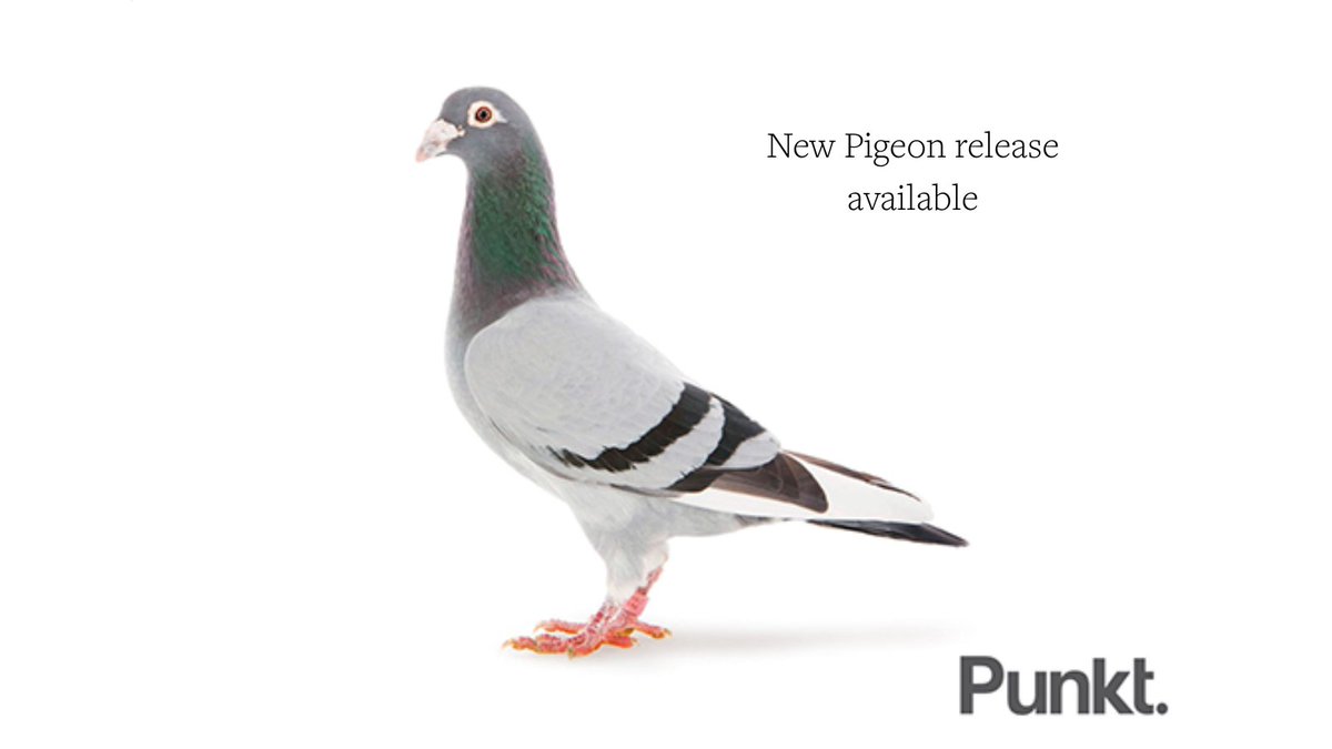 punkt's tweet photo. Pigeon is back! A new #Pigeon release is available.
Check the instructions here to update your current version: https://t.co/3BVJwiSZWY
We apologise for the inconvenience you might have experienced.
Thank you!
#Punkt #MP02 #PigeonUpdate https://t.co/ps5X1go2oW