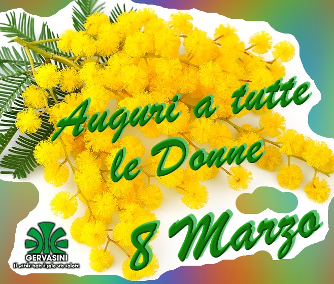 Auguri a tutte le donne. #ottomarzo#festadelladonna#8marzo#donna#womensday#women#woman#floricolturapasqualegervasini