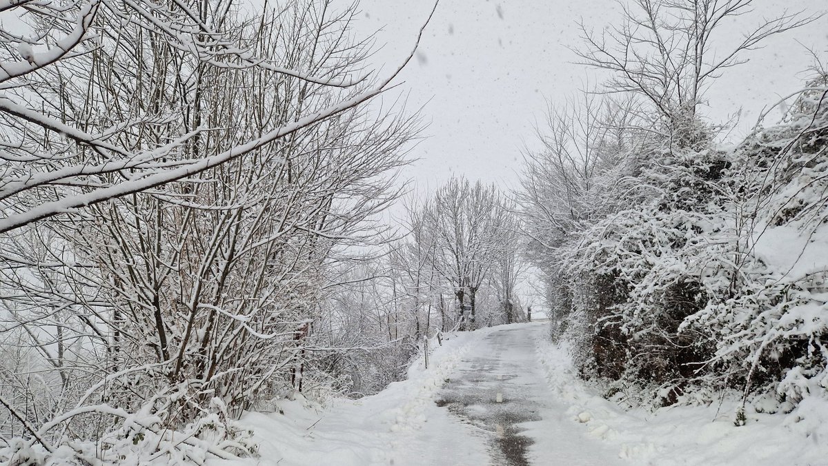 #Neril en modo #invirno
<a href="/eltiempo_atv/">Aragón TV El Tiempo</a> <a href="/meteo_aragon/">Meteo Aragón</a> <a href="/PuntoPirineos/">Punto Pirineos</a> <a href="/aragonturismo/">Turismo de Aragón</a>