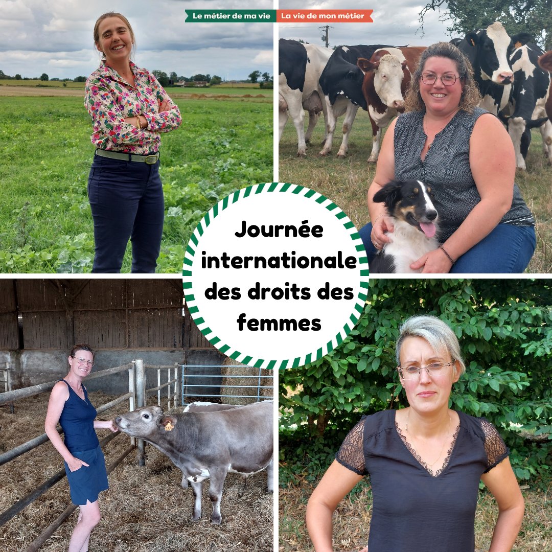 fdsea72's tweet photo. [Journée internationale des droits des femmes 👩‍🌾 ]

➡️ Le 8 mars est la journée internationale des droits des femmes, et pour l’occasion voici quelques chiffres sur la place des femmes dans le milieu agricole de nos jours ! 

#JourneeDesDroitsDesFemmes #FDSEA72 #FNSEA  #sarthe https://t.co/5eyZAqU0ET