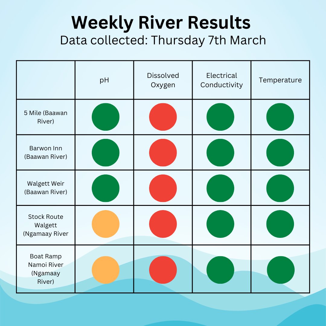 DharriwaaEGroup's tweet photo. Water Quality Results 7 March 2024. Dissolved oxygen at all sites along Baawan &amp; Ngamaay are still within a concerning range. The first readings at both Ngamaay sites are within a poor range but get to dangerous levels as we measure deeper in to the river. https://t.co/ooEGu1svAm https://t.co/C4N4dwPJ8I