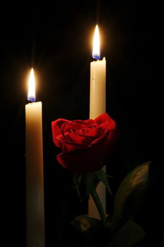 MoussaWrdg's tweet photo. Femme tchadienne tu m’as donné la vie, femme tchadienne tu m’as donner l’amour. Tu m’as bercer autant que tu le pouvais, pas facile de trouver une autre comme toi même si d’autres essaye de le prouver. Être ton fils je suis béni. Bonne fête à nos mères, tantes, sœurs et amies. https://t.co/eNVfoTHzVe