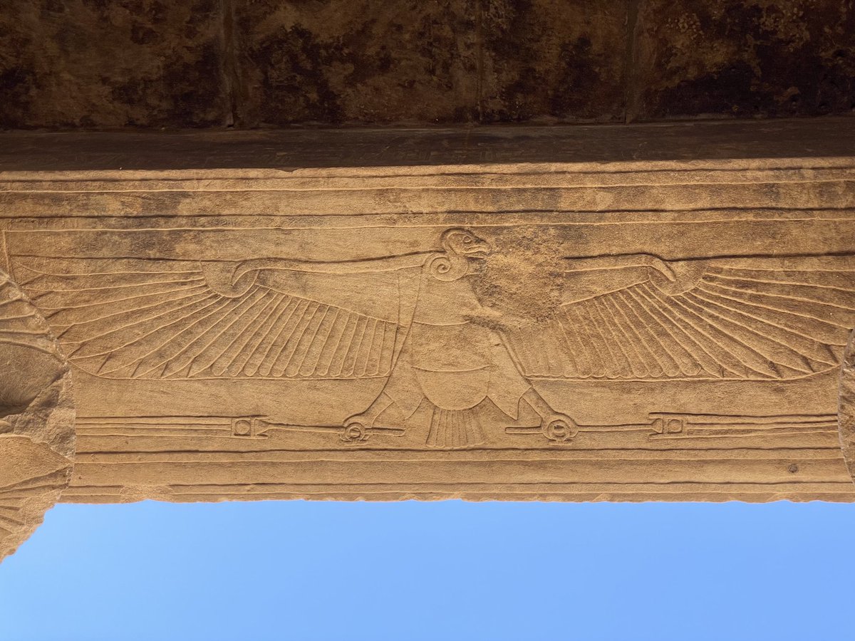 Philae Temple, Aswan. Loved the detail every bit as much as the magnificence.