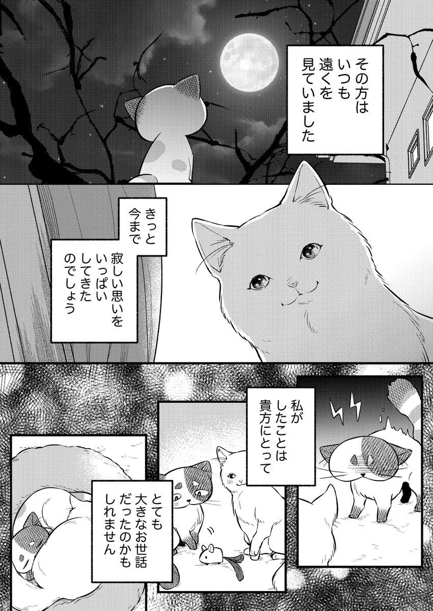 100年生きた猫のはなし(コンside) 