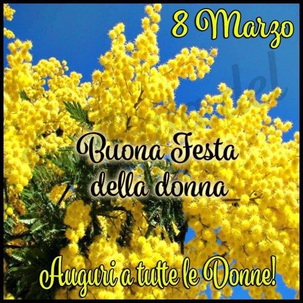 #8marzo #festadelladonna #senzaparole