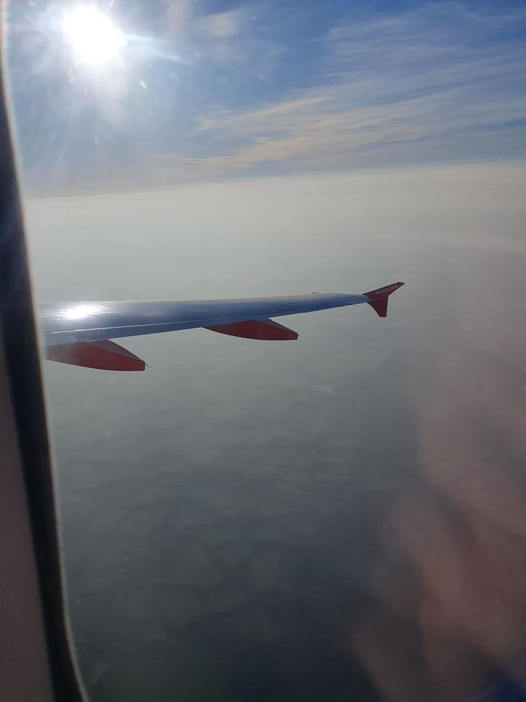 suzanne offer tweet media