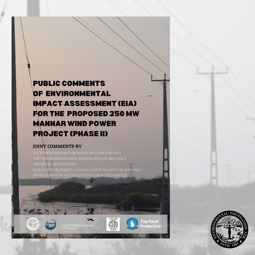 EFL_1981's tweet photo. Update: EFL together with @PearlProtectors, @yzasrilanka, @MECS_SL, &amp; @fogsl_official to formulate technical, environmental, socio economic, and legal comments on the “Proposed 250MW Mannar Wind Power Project (Phase II)” and submitted to CEA

#srilanka #justicefornature https://t.co/7bNgDeMCYk