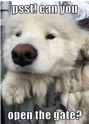 🔓 We are delighted to inform you that our one and only Aurelio Picon - thebluehunter on infosec{dot}exchange - will present at CARO, May 2, Washington D.C.
Open by Default: The Hidden Cost of Convenience in Network Security
caro2024.org/agenda/