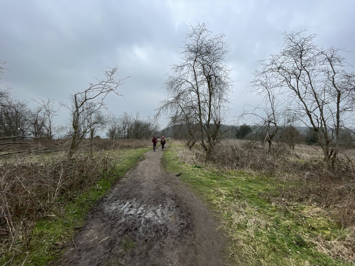 DofeSchool's tweet photo. An excellent @DofE Bronze expedition with @samsykesexped in The Chilterns. 145 @cooperscoborn students successfully navigating the mud and cold. @CoopersCompany @DofELondon @LizzyDofE https://t.co/d2bQ3Vfh9B