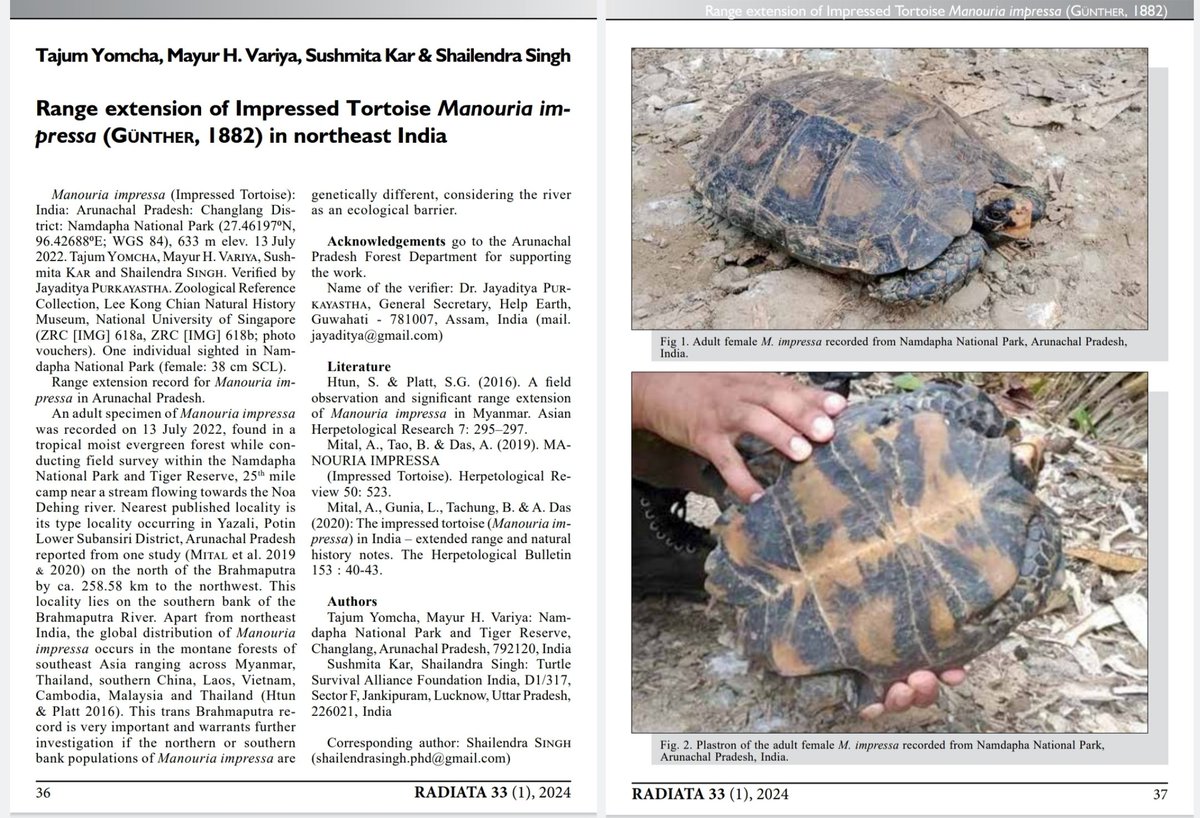Record of Impressed Tortoise (Manouria impressa) from @NamdaphaTR