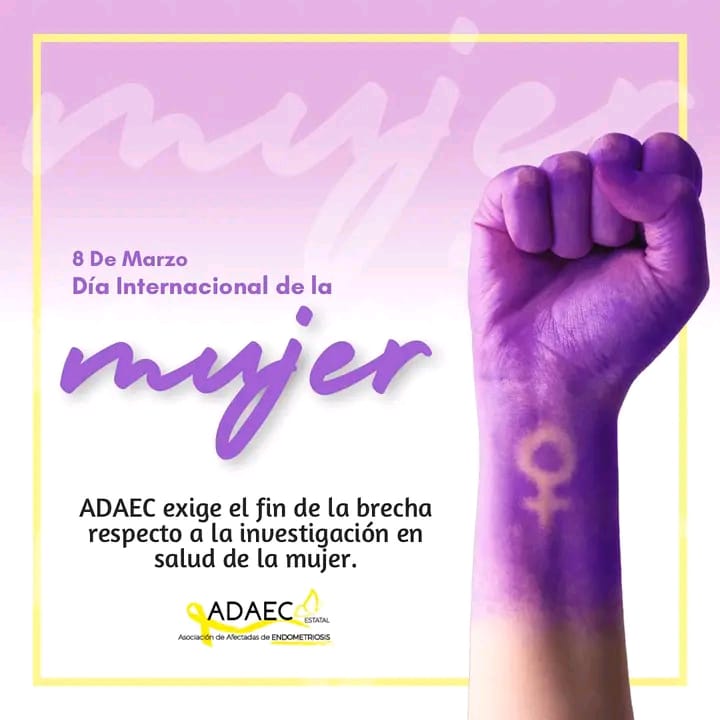 adaecestatal's tweet photo. 💜8 de Marzo💜 por el fin del androcentrismo médico y científico
#adaec #endometriosis #8M2024 #DiaInternacionalDeLaMujer #DiaDeLaMujer https://t.co/wVUDAOINm3