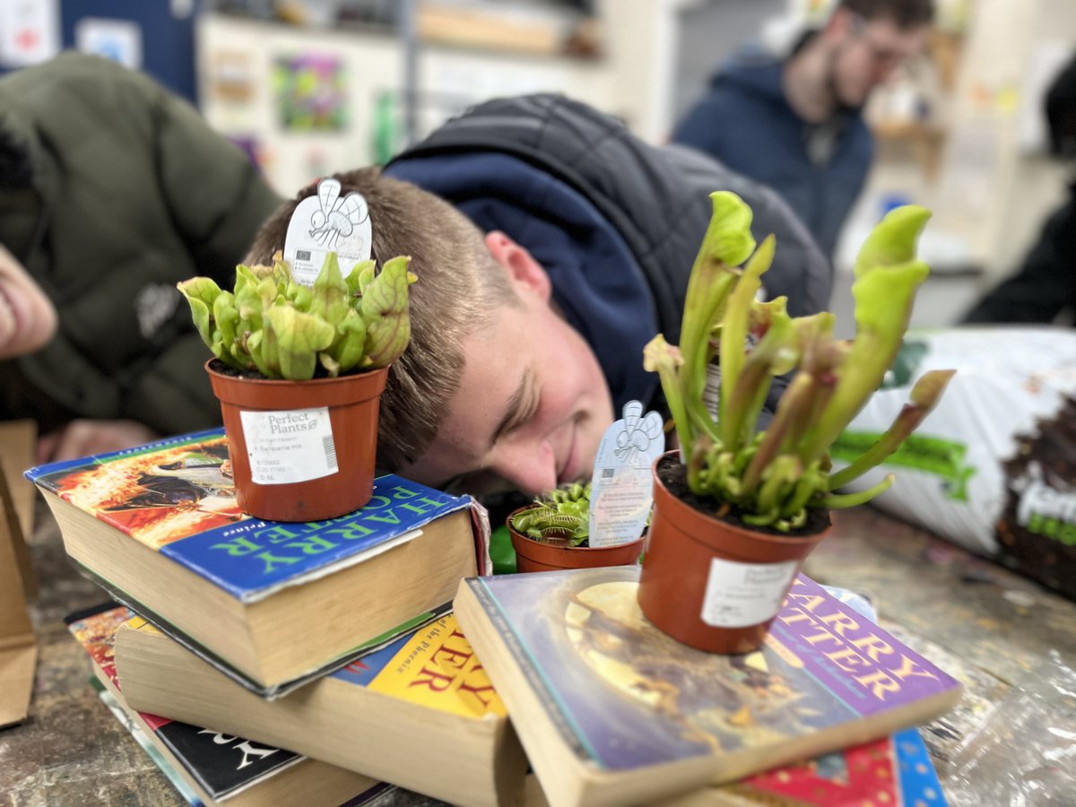 Horticulture at SOTS tweet media