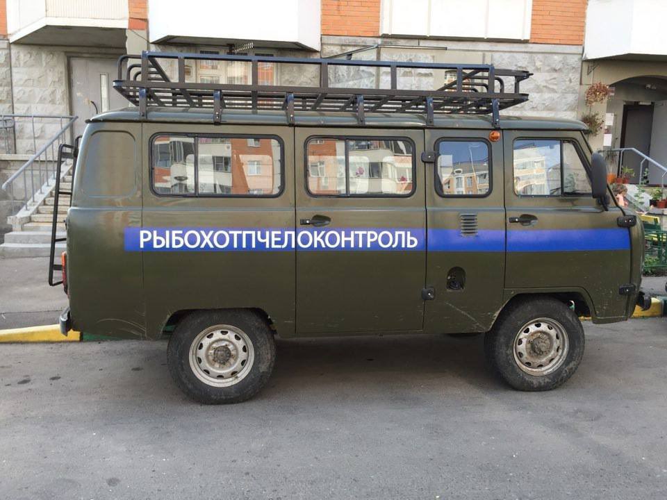 РЫБАМ, ПЧЕЛАМ И ЛОСЯМ НЕ ДВИГАТЬСЯ: РАБОТАЕТ РЫБООХОТПЧЕЛОКОНТРОЛЬ!