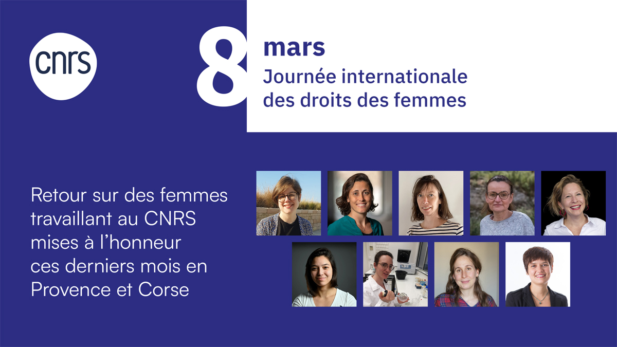 ✊ ‍♀️ 👩‍🦳#8mars | À l'occasion de la #JournéeDesDroitsDesFemmes, découvrez 9 portraits de femmes travaillant au @CNRS en Provence et qui ont été mises à l'honneur et distinguées lors des derniers mois. ⤵️