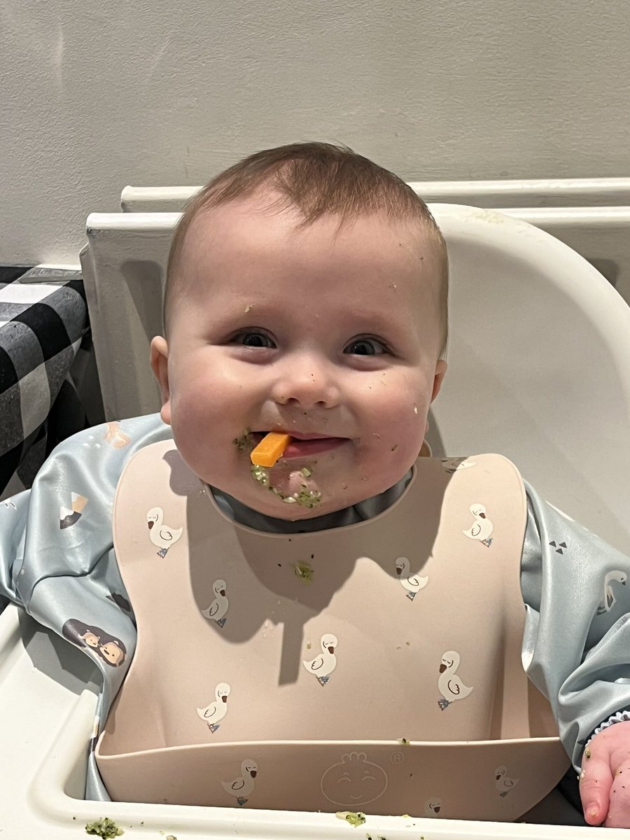 Sitko_Soprano's tweet photo. Seven months of Noah ❤️ 

#boymom https://t.co/QhUpVONQQQ