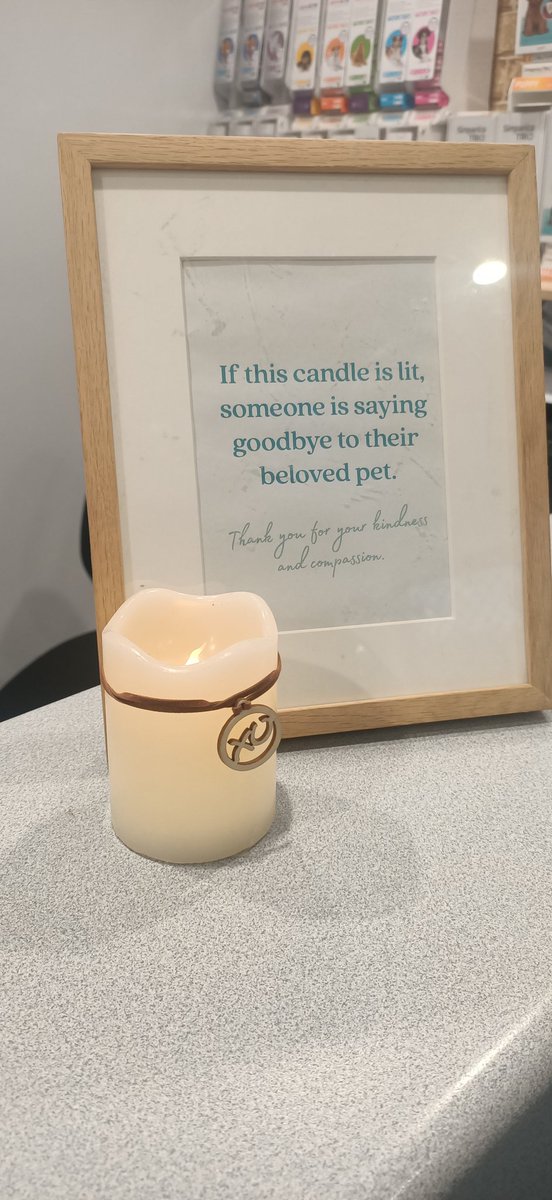 Bottom_Drawer's tweet image. While at the vet with my Wally this afternoon, this frame was on the reception counter. 🐾 Grief for a pet can be as debilitating as grief for a human so it's a thoughtful, respectful message to have on show.

(Wally is ok, though his cruciate ligament has seen better days 🤒🪡💰