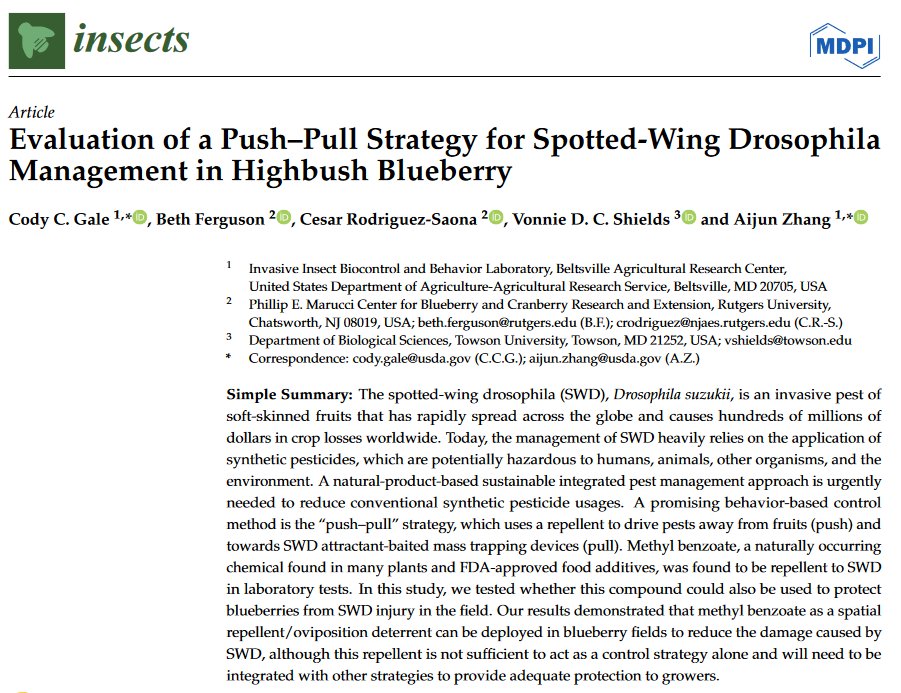 Insects_MDPI's tweet photo. #insects Paper Published  
📚Evaluation of a Push–Pull Strategy for Spotted-Wing #Drosophila Management in Highbush #Blueberry

by Cody C. Gale et al.
📷https://t.co/RAT0cPmsel
#Drosophilasuzukii #invasivepest #repellent #Diptera #Drosophilidae https://t.co/Av4p3AmErN