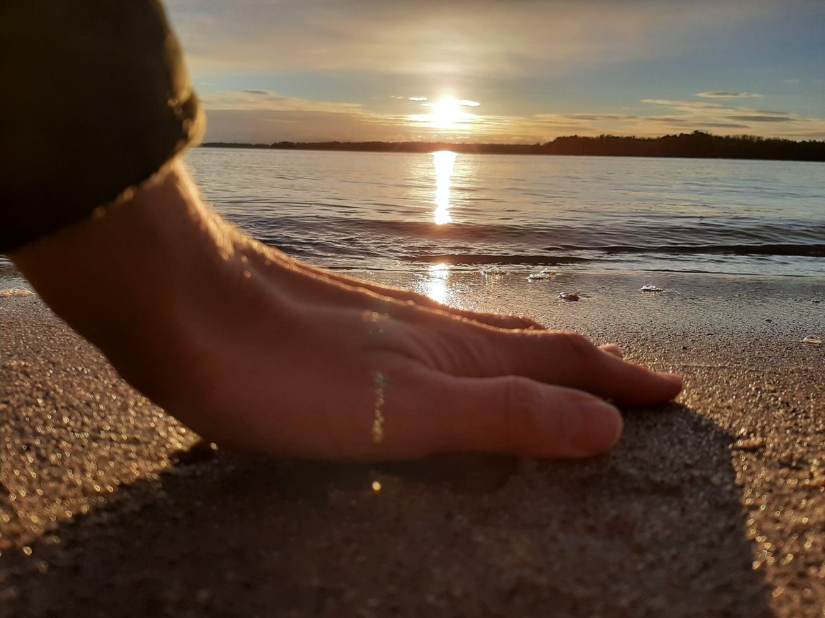 Happy International Women's Day! 💙

We hope this day brings you things you most #value! Let's be real and reach towards the sky, #together!

#wellsfinland #wellbeing