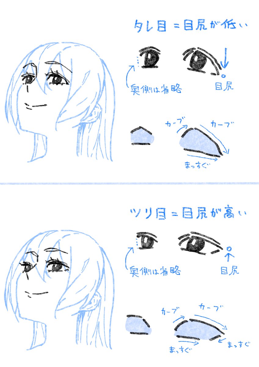 アオリの目を描き分けるコツ。 