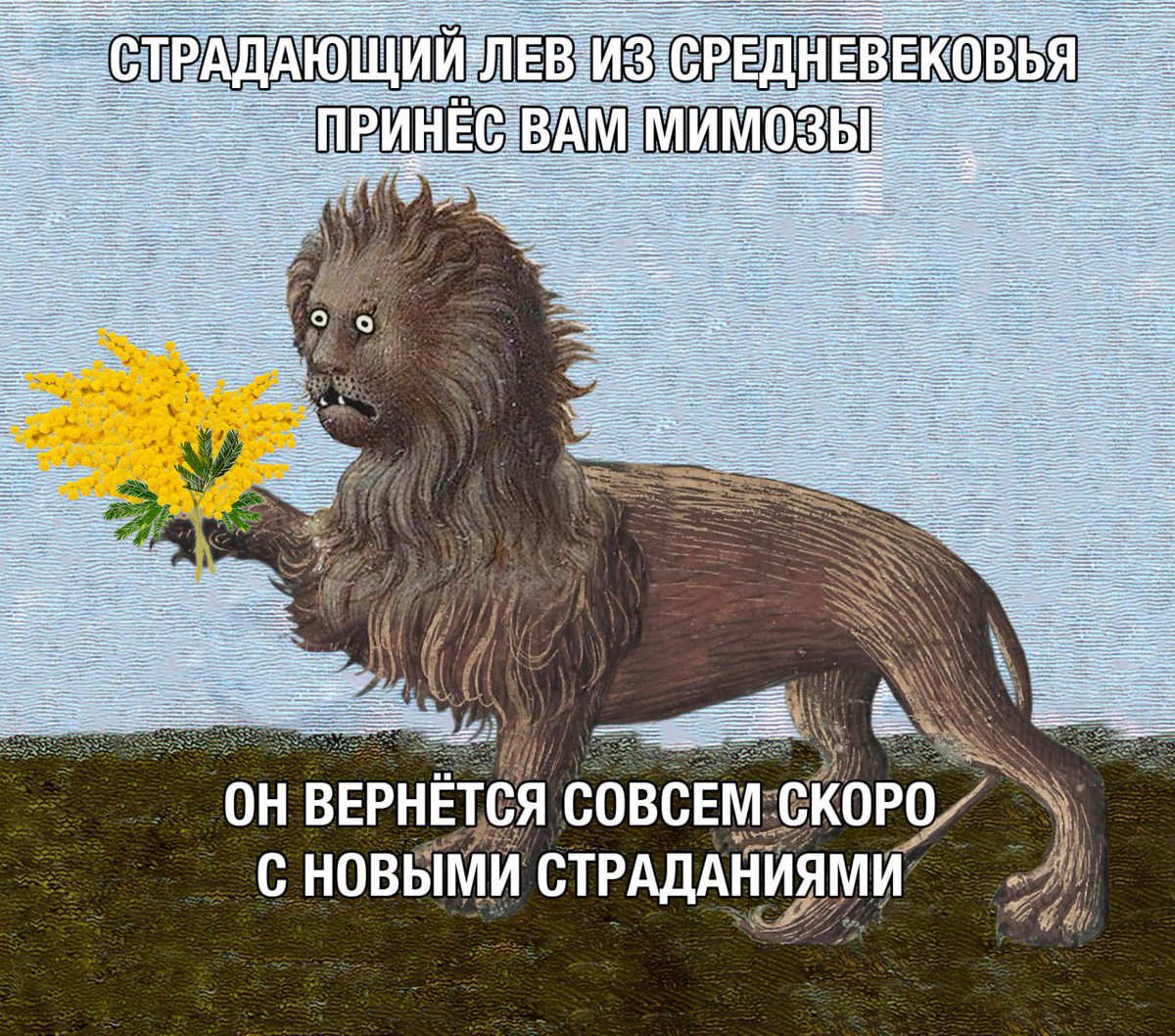 вот этими лапами рвал 🐾