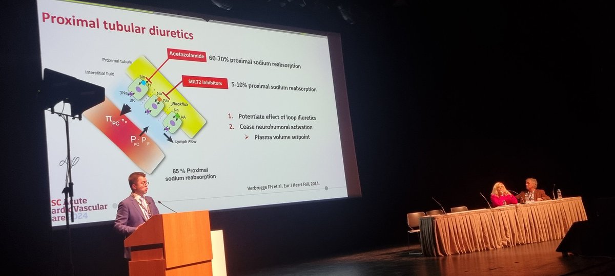 Acetazolamide or not? Thats the question! For sure according to <a href="/FH_Verbrugge/">Frederik H. Verbrugge</a> : more efficient decongestion, less diuretic induced alkalosis and better loss of sodium! Not a treatment but preventive for diuretic resistence!
Excellent presentation at ACVC2024 in Athens!

#ACVC2024