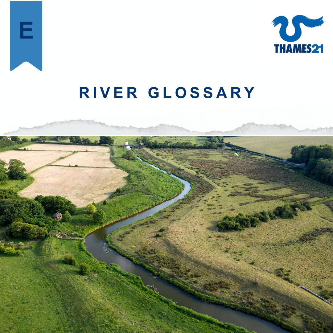 Thames21's tweet photo. Happy Friday! 😄
Learn more about erosion and other river terms in this week’s River Glossary series.
Have you heard any of these words before? Let us know!
#actionforsilkstream #thames21 #riverglossary #riverlife #riverconservation https://t.co/sAJhIWhlw4