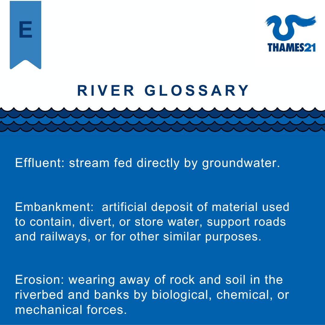 Thames21's tweet photo. Happy Friday! 😄
Learn more about erosion and other river terms in this week’s River Glossary series.
Have you heard any of these words before? Let us know!
#actionforsilkstream #thames21 #riverglossary #riverlife #riverconservation https://t.co/sAJhIWhlw4