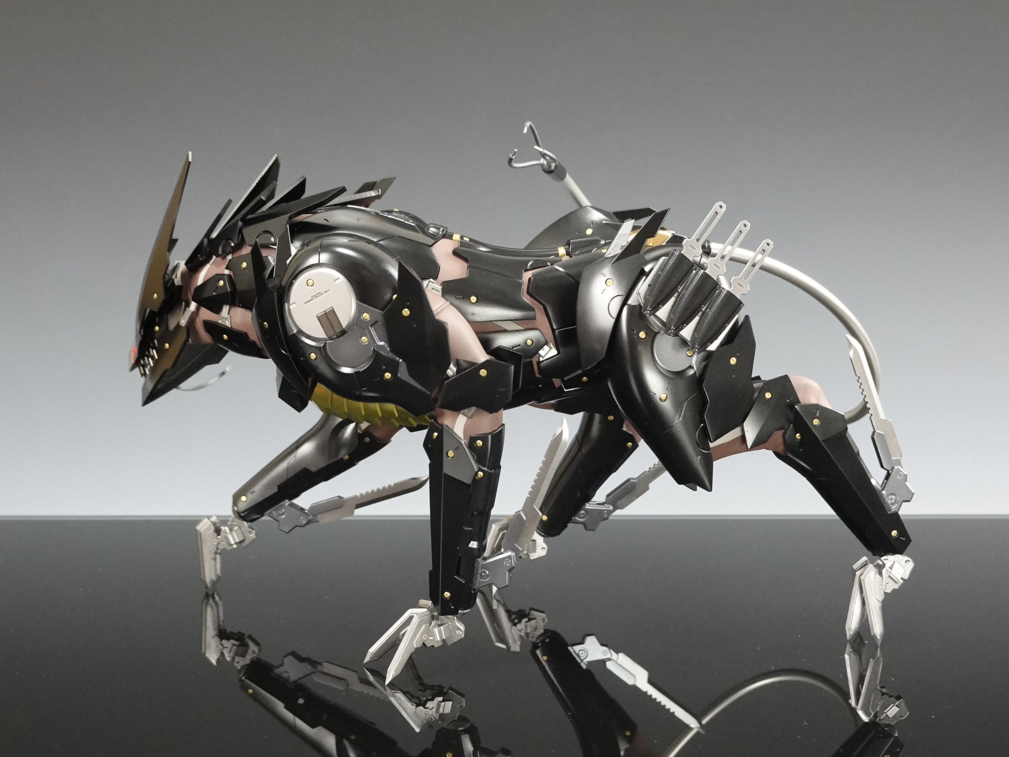𝐌𝐎𝐃𝐄𝐋 𝐒𝐐𝐔𝐀𝐃 on X: 