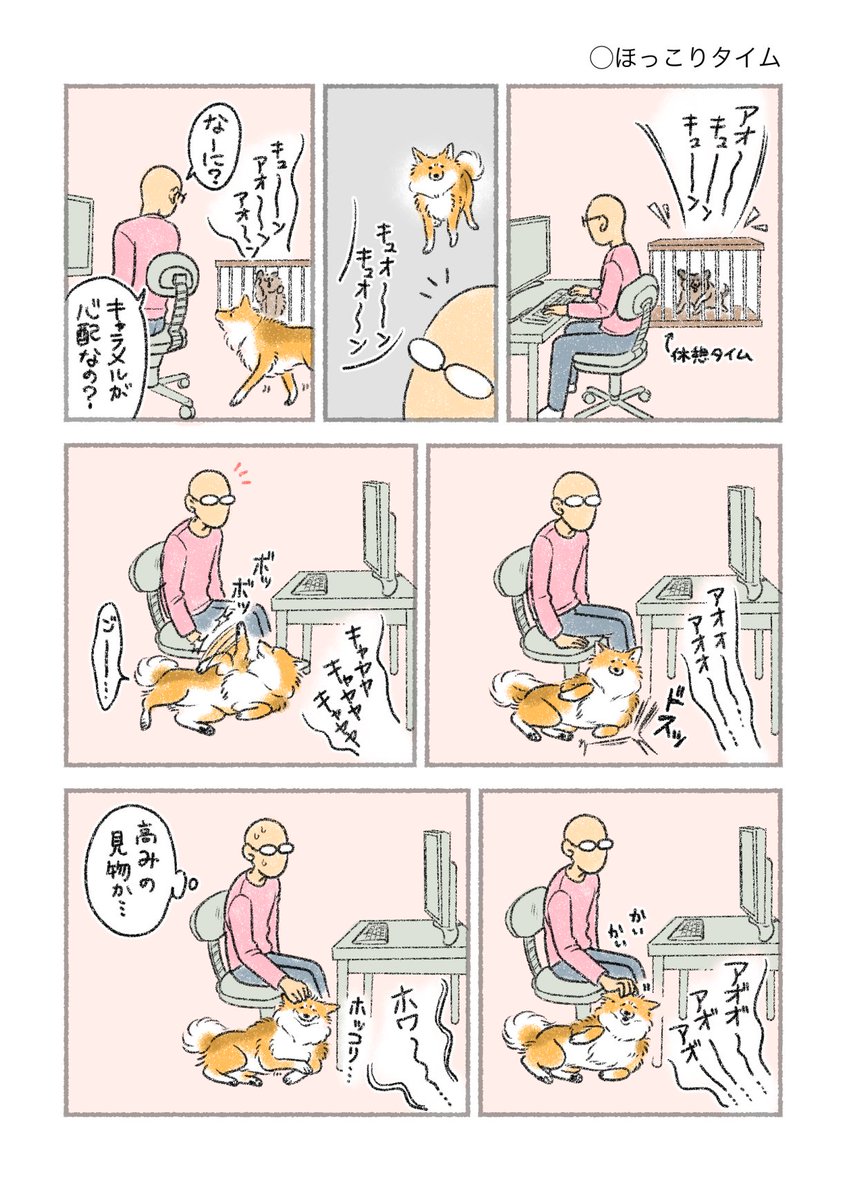 王国の崩壊/ほっこりタイム 