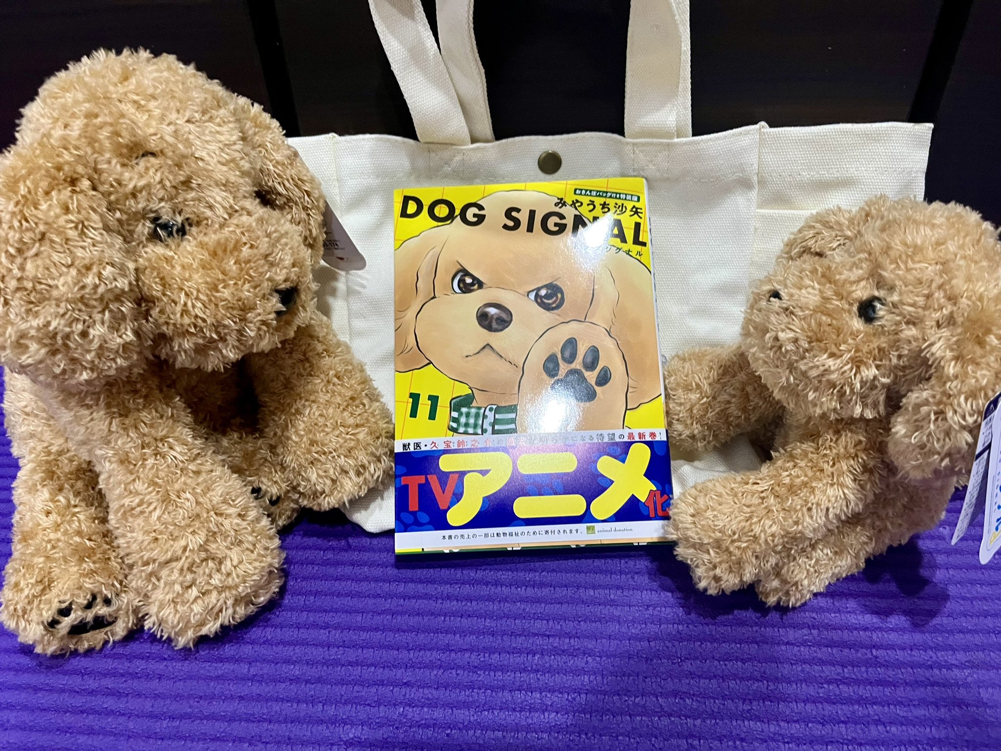 みやうち沙矢 on X: 