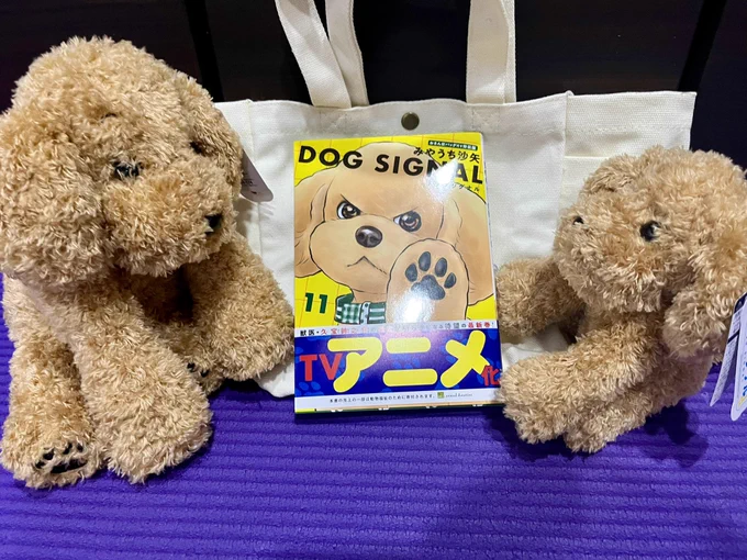 【本日3/8発売】
DOG SIGNAL11巻
本日発売になりました!

🐶おさんぽバッグ付き特装版
https://t.co/G77jFCbRVW

🐶通常版
https://t.co/MgCYR36ZIN 

おさんぽバッグ、左右と内側にポケットがありスマホやお水ボトルも入れられます。
淡めのサンジュイラストが良い感じです❤️
#ドッグシグナル 