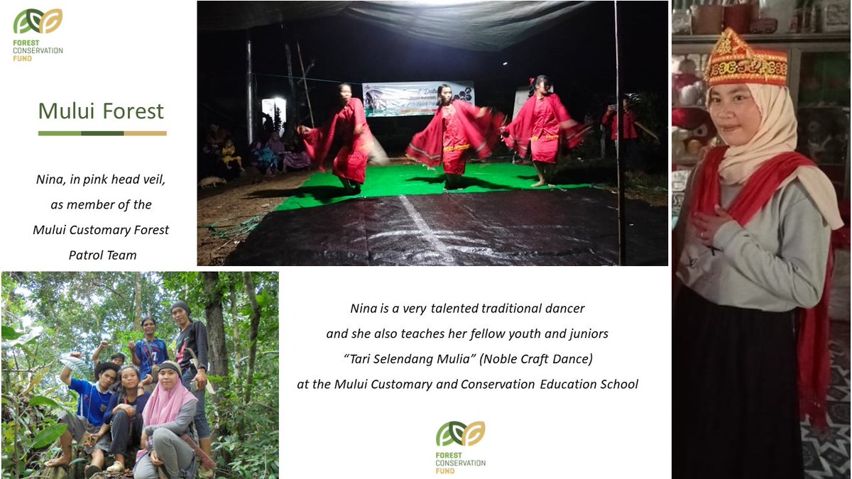 FundForests's tweet photo. Indigenous woman Nina is helping to save her customary forest in East Kalimantan, member of the Customary Patrol Team and actively teaching her fellow youth and juniors a traditional dance called “Tari Selendang Mulia” (Noble Scarf Dance)
#IWD2024 https://t.co/rrpBBIeaJg
