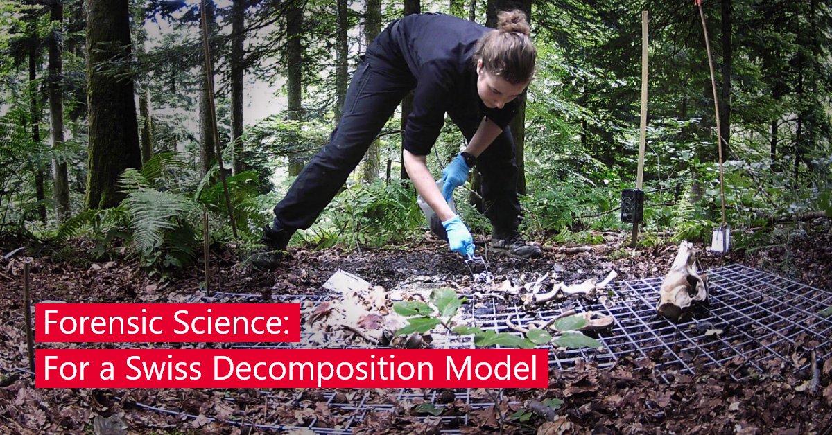 Do bodies decompose differently in 🇨🇭 than in other parts of the 🌍? Lara Indra from the Institute of #ForensicMedicine at @unibern investigated the process on pig carcasses and provided data for a better estimation of the time of death in forensic cases. mediarelations.unibe.ch/media_releases…