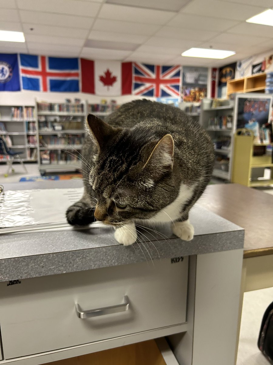 Sporty_TL's tweet photo. Always great when you can bring in your little buddy to work to visit the salmon. #rtla38 https://t.co/EmKoETkMAN