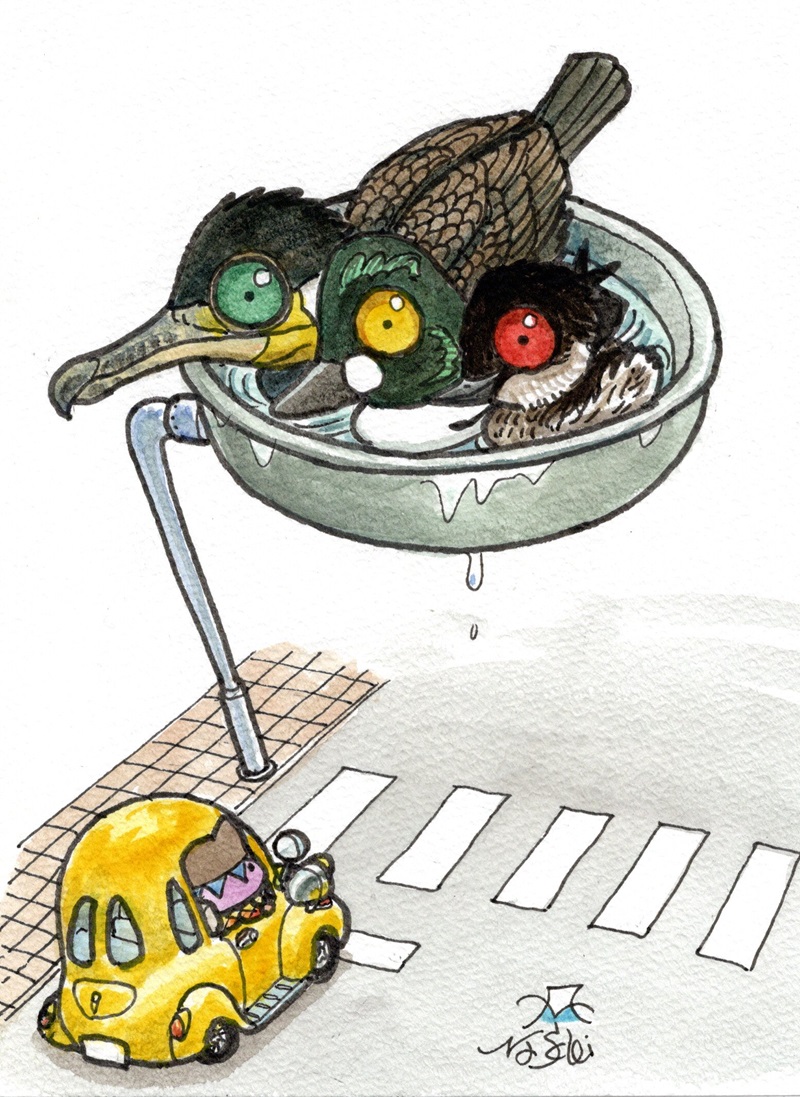 nasubifujitaka's tweet photo. 水鳥信号機 https://t.co/wYYtRTcSZq