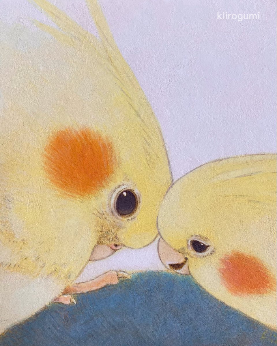 TORI_mirea's tweet photo. リアル寄りのオカメと、デフォルメされたカラフルなオカメを半々くらいで描いたよ🐥🐥 https://t.co/ytuOHQnmRy