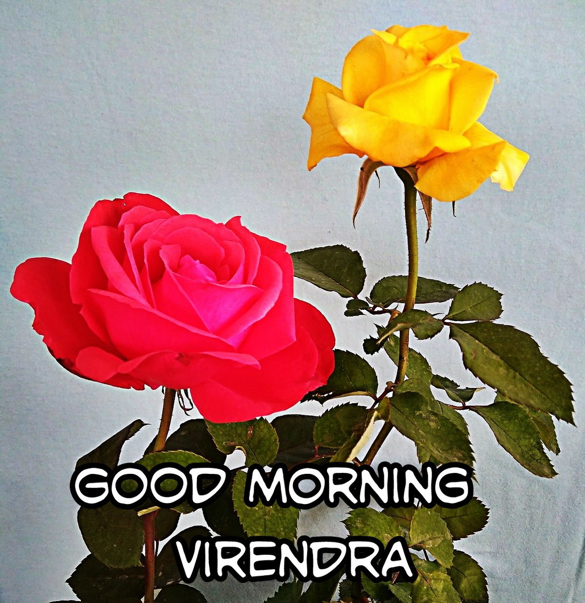 virendra dixit tweet media