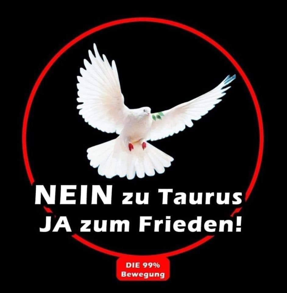 #TaurusLeaks #Taurus #Frieden #Verhandlungen #grüneKriegstreiber #roteKriegstreiber #gelbeKriegstreiber 

Ich bin nicht im Krieg mit Russland 🇩🇪🇷🇺