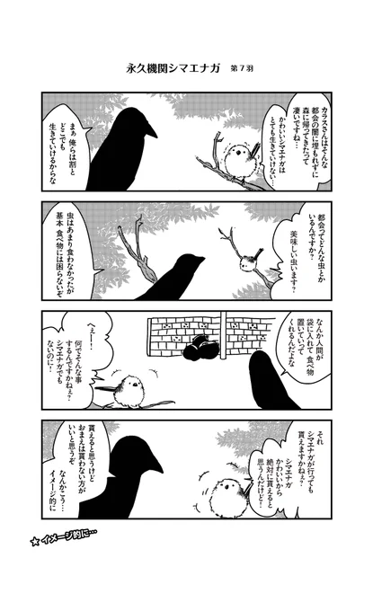 🌸✨永久機関シマエナガ✨🌸
✨コミックス最新刊発売記念✨
✨ ⌚8:00/18:00⌚  ✨
✨シーズン1 毎日再配信中❣✨

#永久機関シマエナガ
#シマエナガとカラスさん

【シーズン1/第7羽】 