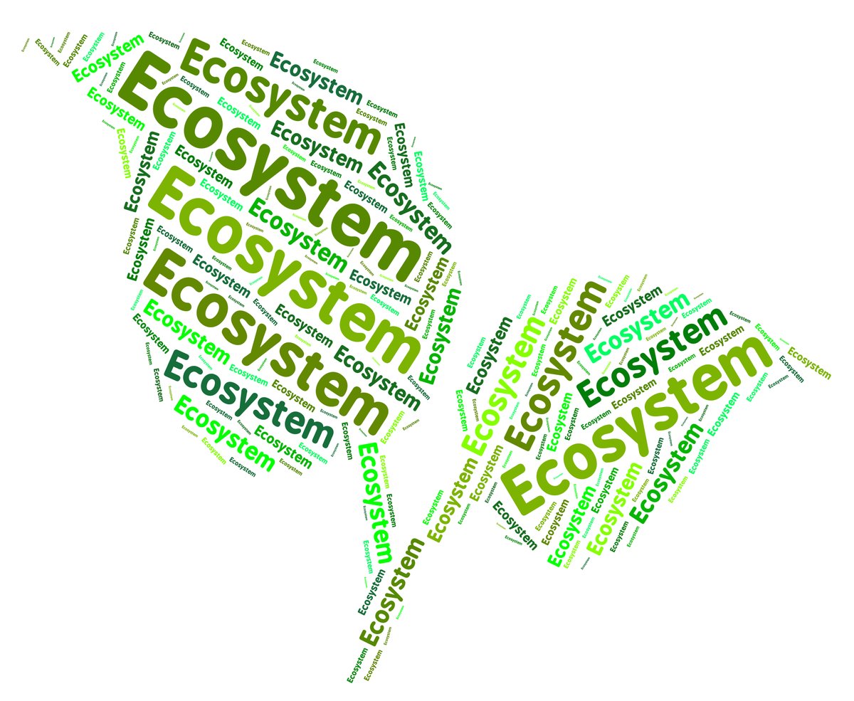 UniLeipzig's tweet photo. Is it possible to evaluate the benefits and value of #ecosystems? A team led by @MoritzDrupp @unihh and @_MartinHaensel #UniLeipzig has proposed a new calculation approach to illustrate the impact of the destruction of #nature for policy: https://t.co/DxF7NMrLEz
 #ClimateChange https://t.co/AL9KNw0jPX