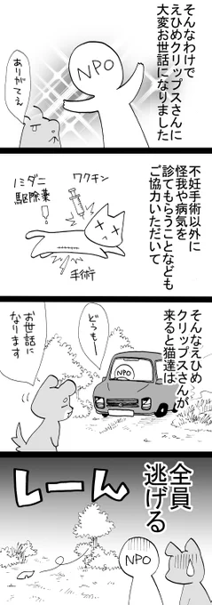 四コマ「祖父んちの隣人が多頭飼育崩壊した話73」
猫達はえひめクリップスさんの車を判別できます。遠くに見えたらその時点ですぐ逃走。

#猫 #四コマ漫画 #御かぞくさま御いっこう 