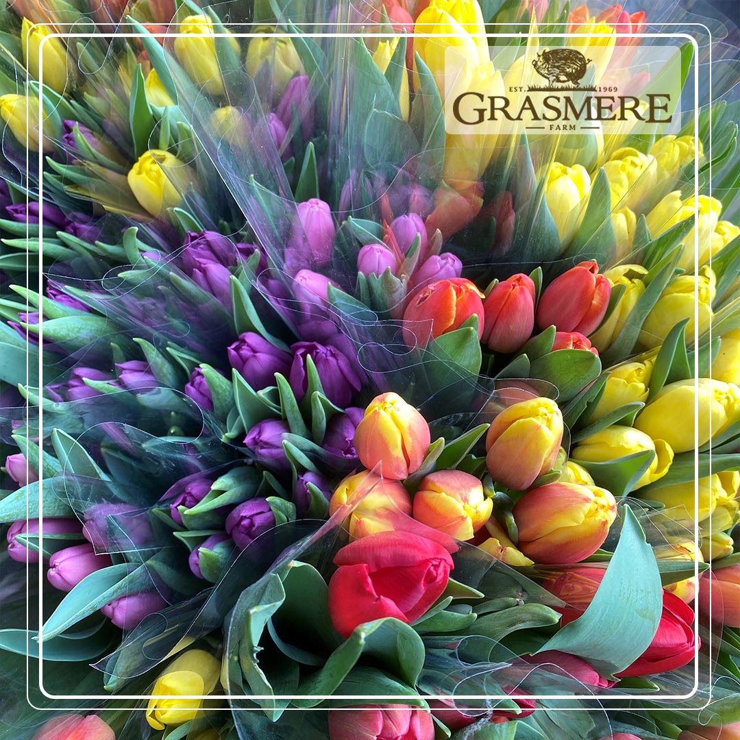 Grasmere Farm (@grasmerefarm) on Twitter photo π·Celebrate Mother's Day at Market Gate Deli! Treat Mum to Hambleton Bakery Scones, Saint's and Sinner's Jam, and Clotted Cream for Β£12.50! Add Prosecco for Β£25. Alison's Fruit Hampers available. Fresh tulips and daffodils to make Mum's day extra special!π #MothersDay π·Celebrate Mother's Day at Market Gate Deli! Treat Mum to Hambleton Bakery Scones, Saint's and Sinner's Jam, and Clotted Cream for Β£12.50! Add Prosecco for Β£25. Alison's Fruit Hampers available. Fresh tulips and daffodils to make Mum's day extra special!π #MothersDay