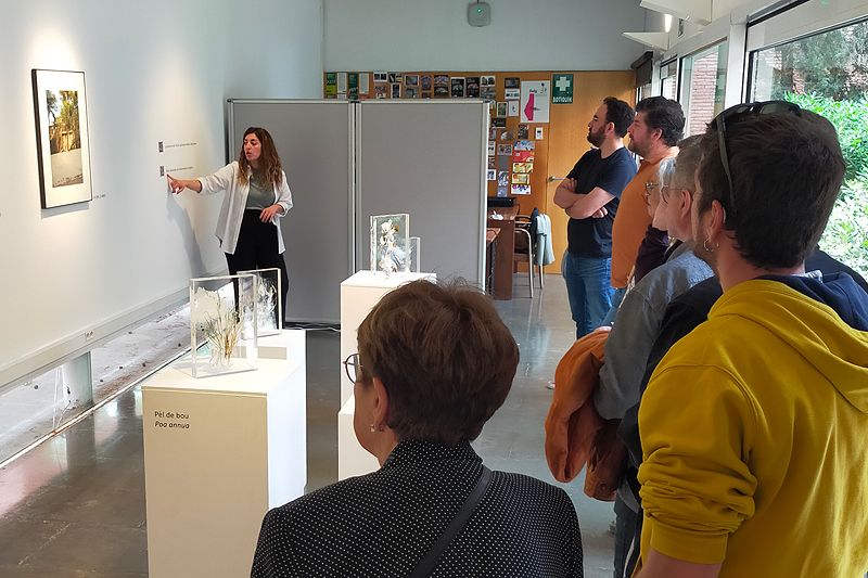 CcivicsBCN's tweet photo. @bcndadescultura 📊 L’informe destaca el 69% d’artistes femenines del #Temporals, el 69% de ponents i moderadores a l’#ArgumentaBCN, el 54% de directores en els films del #PantallaBCN o el 38% de companyies del #BcnDCultural format per majoria femenina. #8M https://t.co/gKCzlOynYj