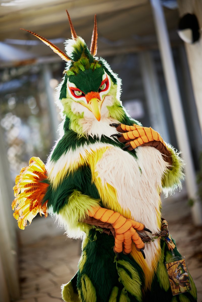 🦜✨🫳😤🫲 📸: @guni1636 🪡 : @BeastFantasia #FursuitFriday #JMoF2024